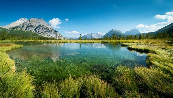 Rencontresenchantees